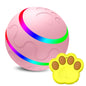 Balle Intelligente Wicked Ball / Jouets pour Chats