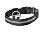 Pet Dog Luminous Collar Night Safety Flashing