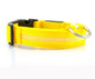 Pet Dog Luminous Collar Night Safety Flashing