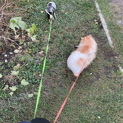 Laisse rétractable pour chien
