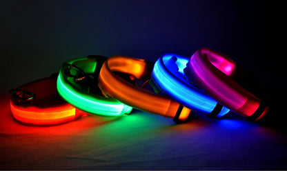Pet Dog Luminous Collar Night Safety Flashing