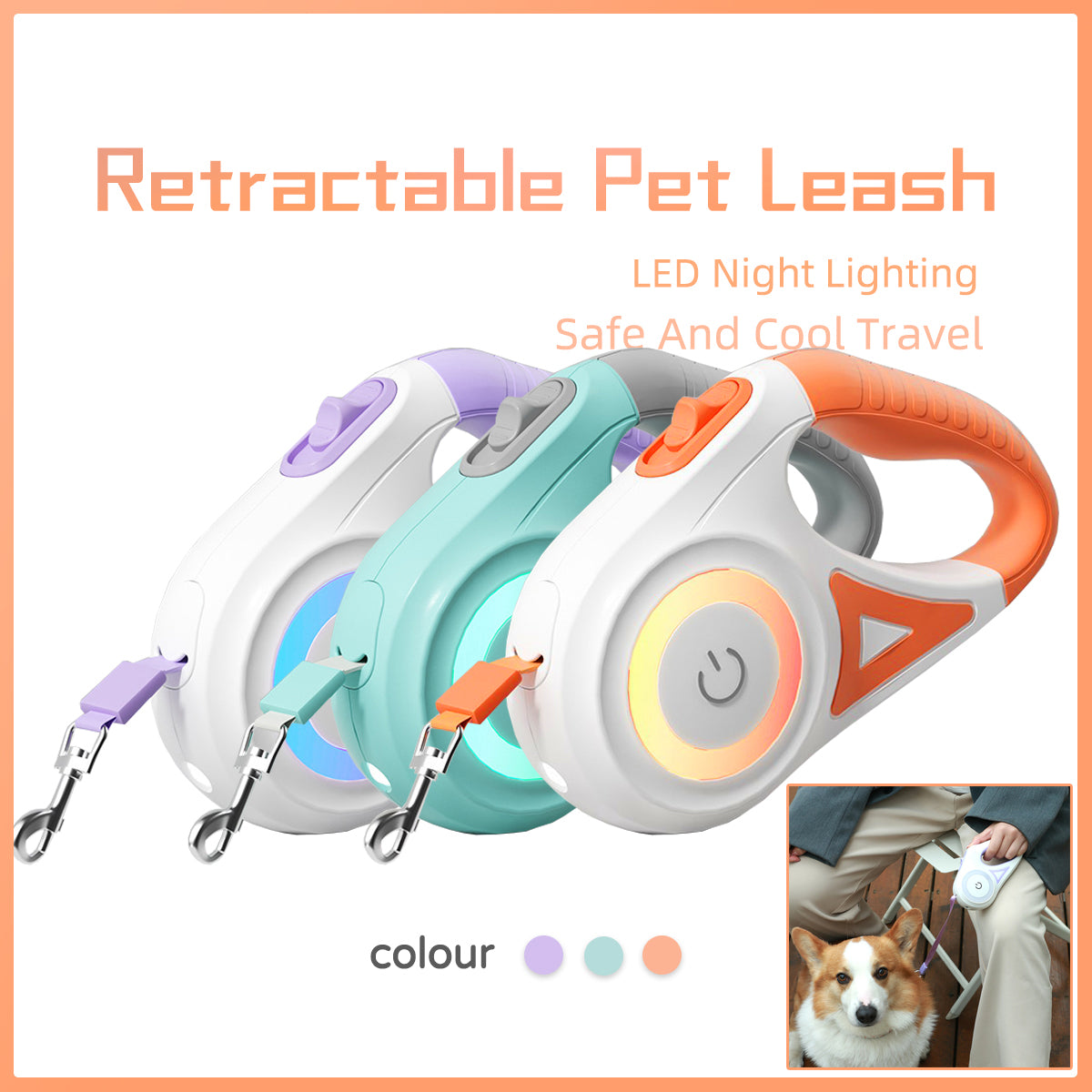 Laisse rétractable pour chien