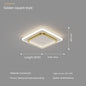 Led Ceiling Light