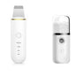 Face Spray Device