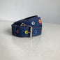 Dopamine Belt