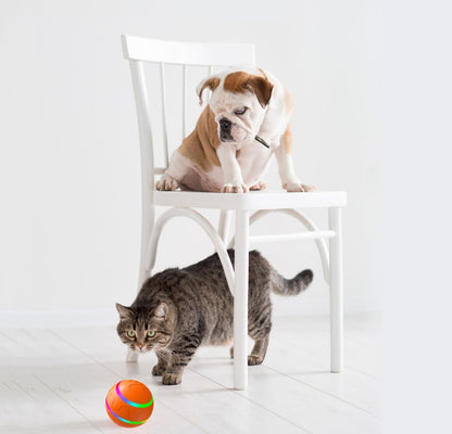 Balle Intelligente Wicked Ball / Jouets pour Chats
