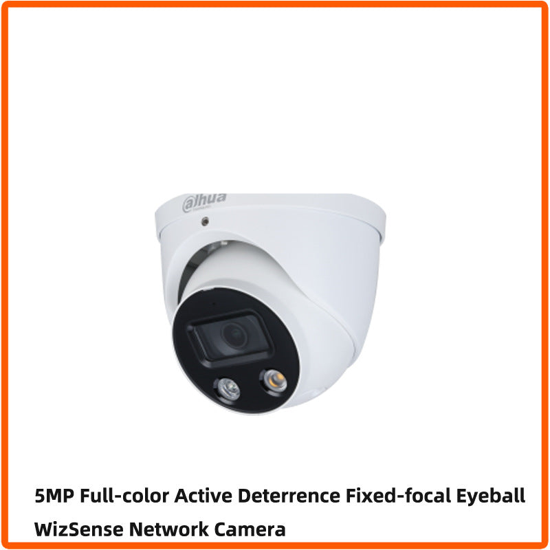 Full Color POE Network Camera
