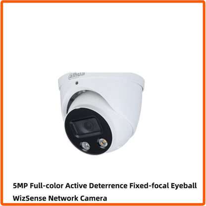 Full Color POE Network Camera