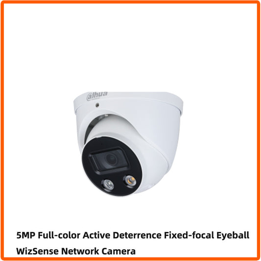 Full Color POE Network Camera