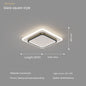 Led Ceiling Light