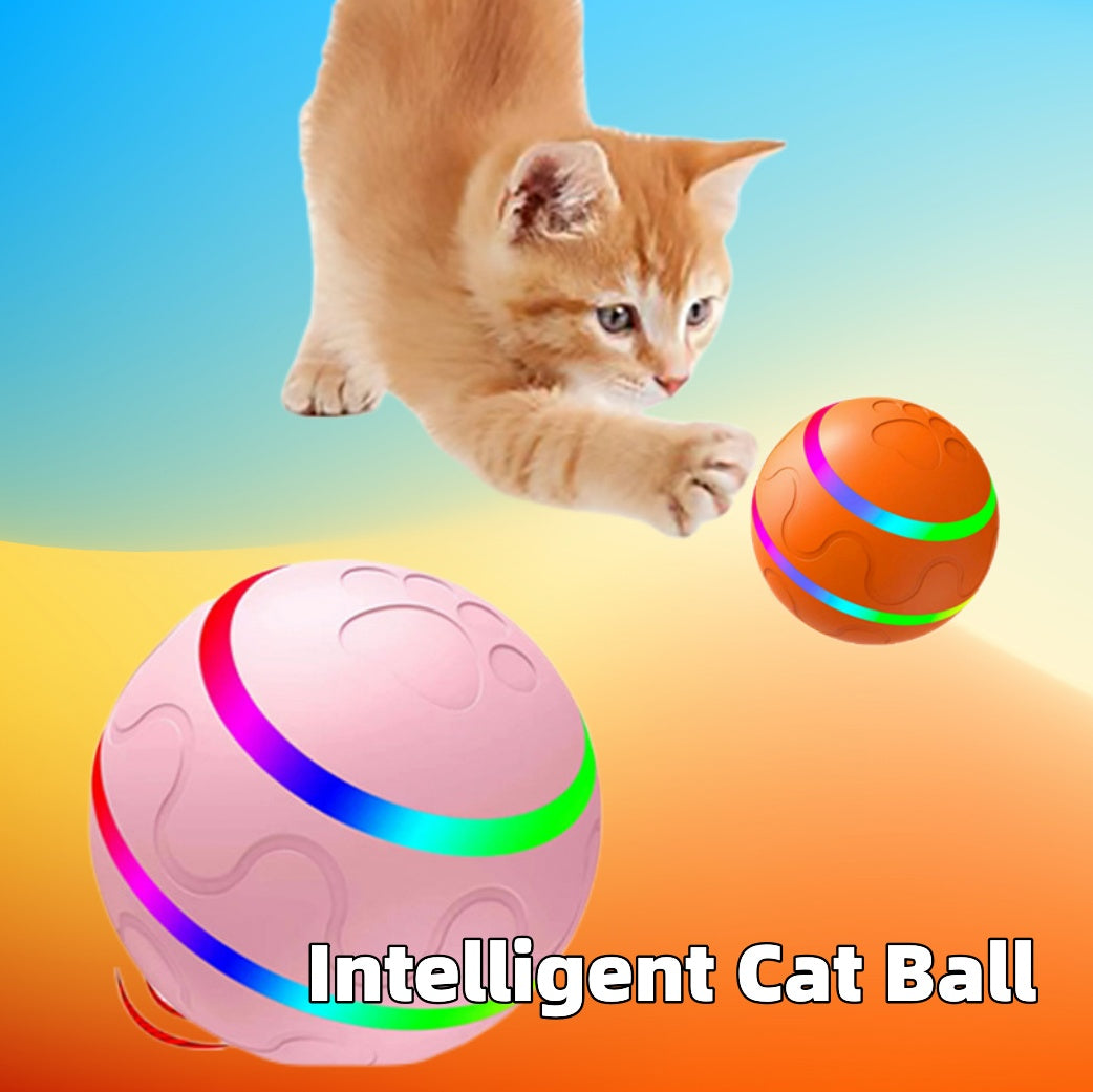 Balle Intelligente Wicked Ball / Jouets pour Chats