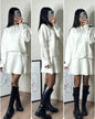 Elegant High Waist Mini Skirt Outfit